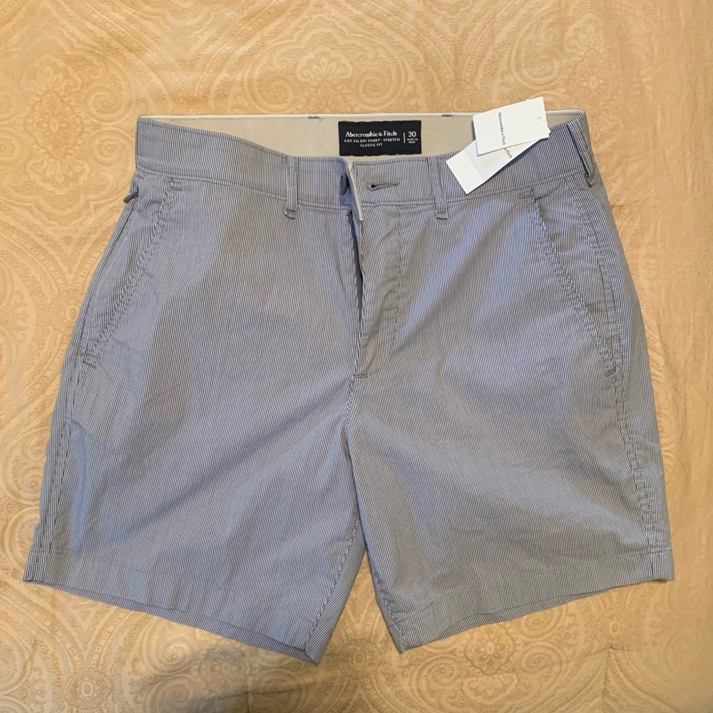 NWT Men’s Abercrombie & Fitch All Day Shorts Classic Fit Blue Pinstripe Size 30